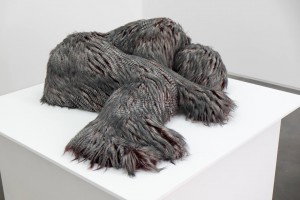 welchrome-elodie-wysocki-darwinette